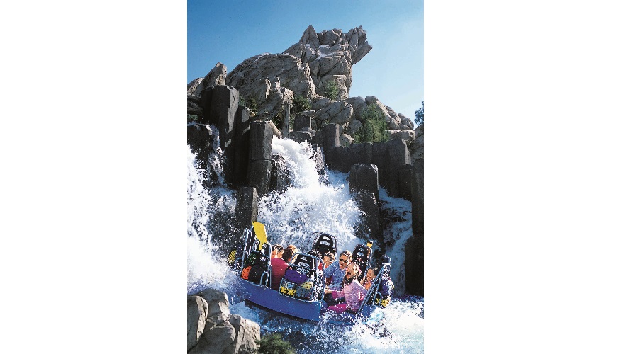 SoCal-Disney Grizzly