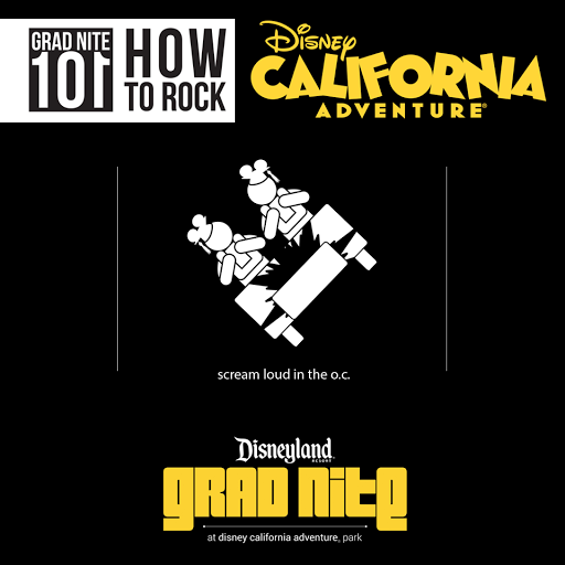 Disneyland Grad Nite High School One Day Trip