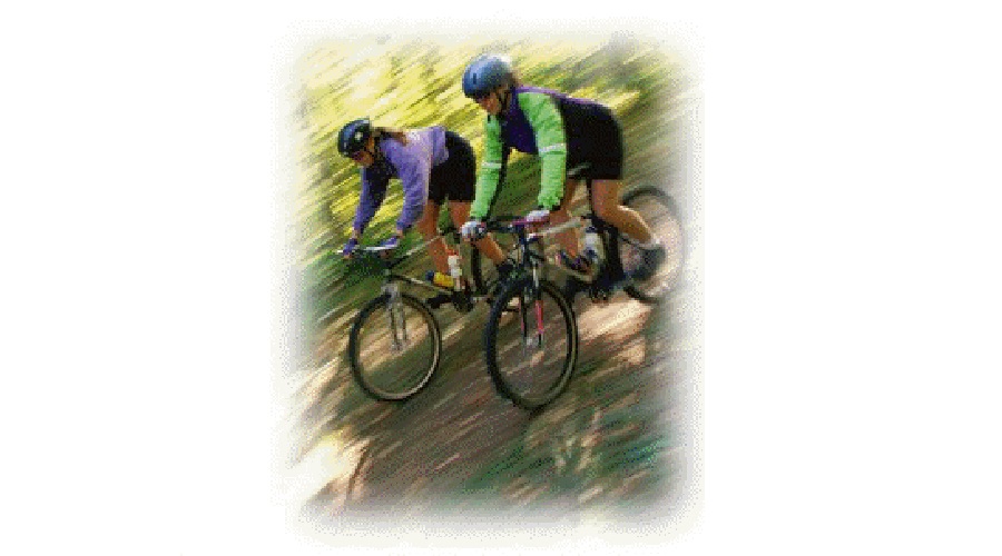 LakeTahoe-chinqbiking