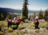 High School Graduation Truckee Northstar