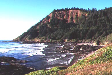 High School Graduation Portland Beach Day