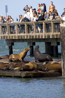 High School Graduation Pier 39