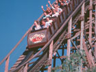 High School Graduation Trip