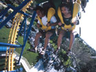 High School Graduation Invertigo